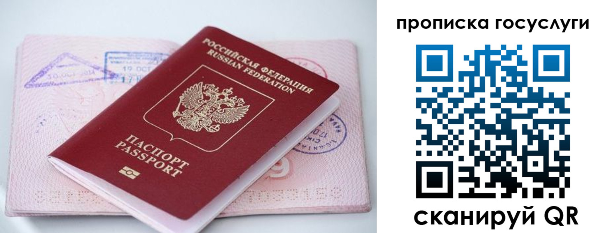 прописка законно в Торопеце